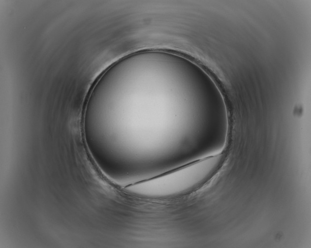X0000091091513200708201445