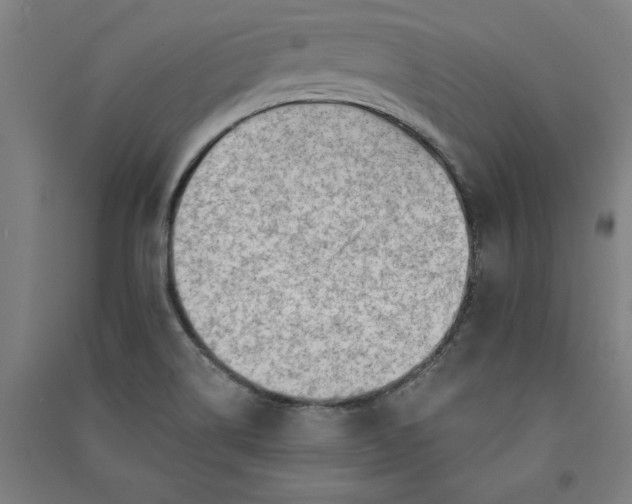 X0000091091514200708201445