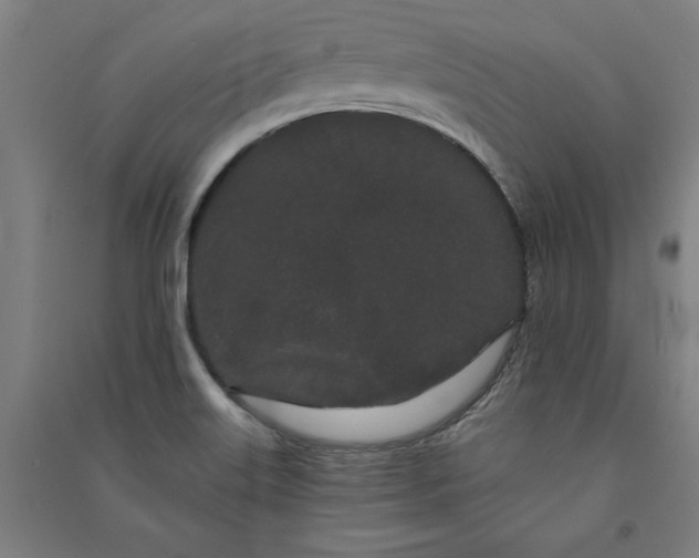 X0000091091515200708201445