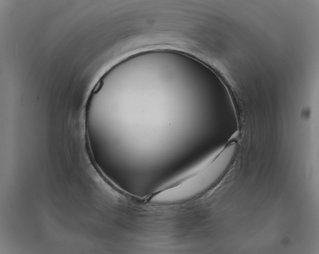 X0000091091516200708201445