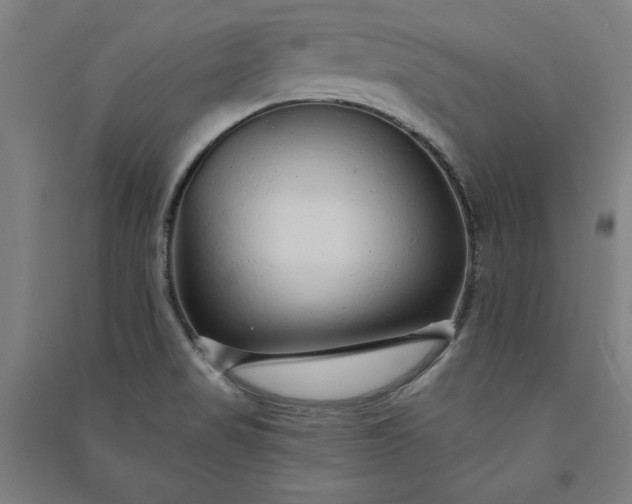 X0000091091517200708201445