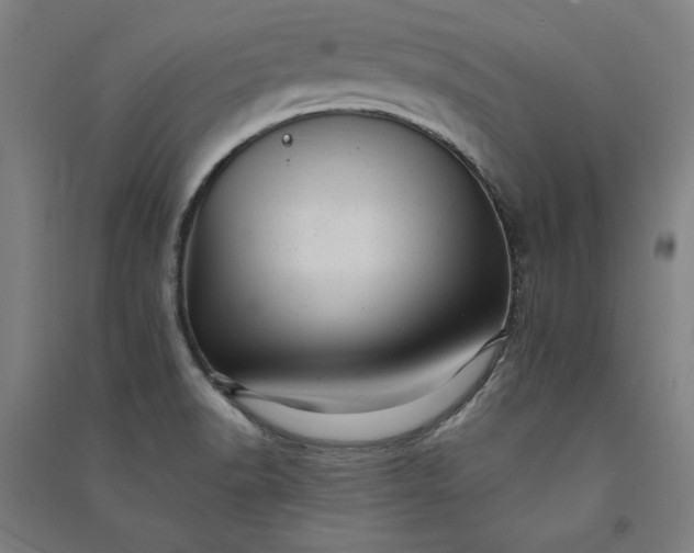 X0000091091518200708201445