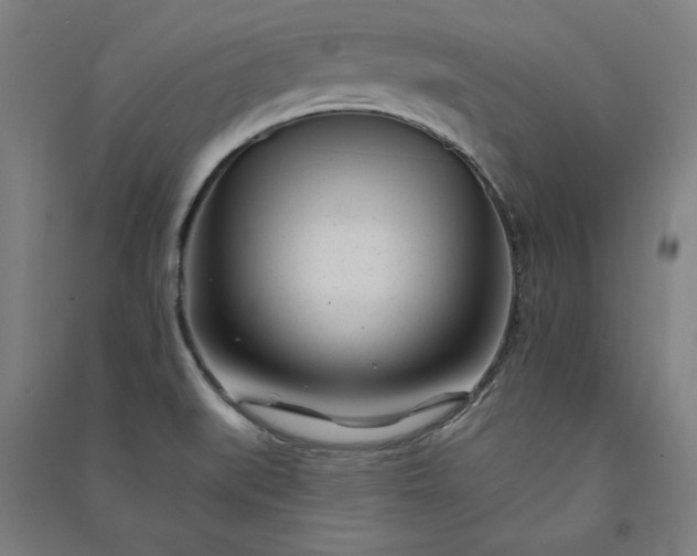 X0000091091519200708201446