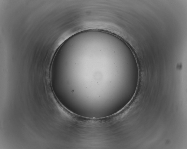 X0000091091521200708201446