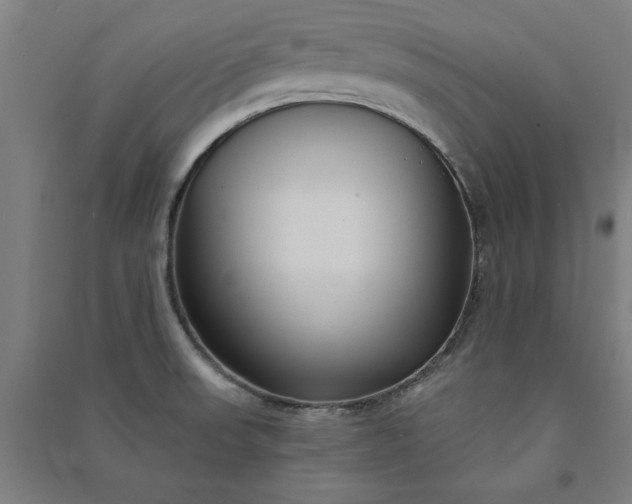 X0000091091523200708201446
