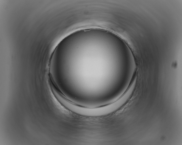X0000091091524200708201446