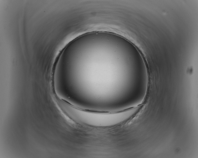 X0000091091525200708201446