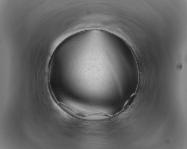 X0000091091527200708201446
