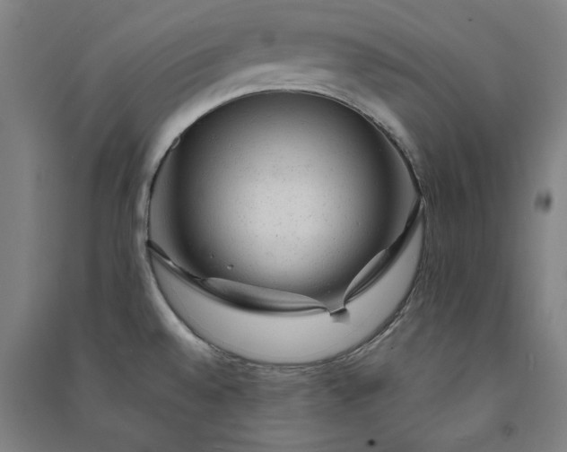 X0000091091528200708201446