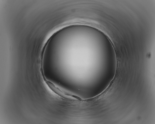 X0000091091531200708201446