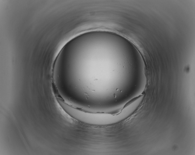 X0000091091532200708201446