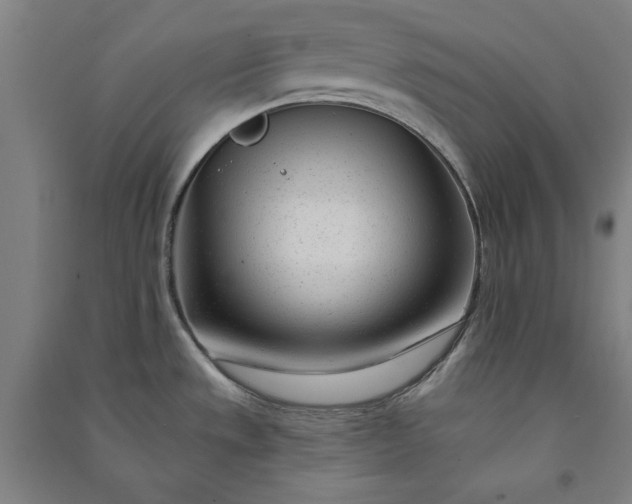 X0000091091533200708201446