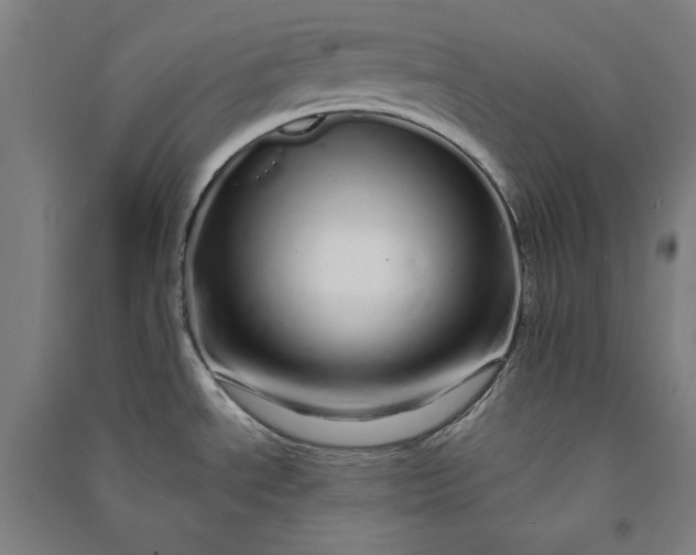 X0000091091534200708201446