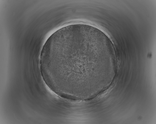 X0000091091535200708201446