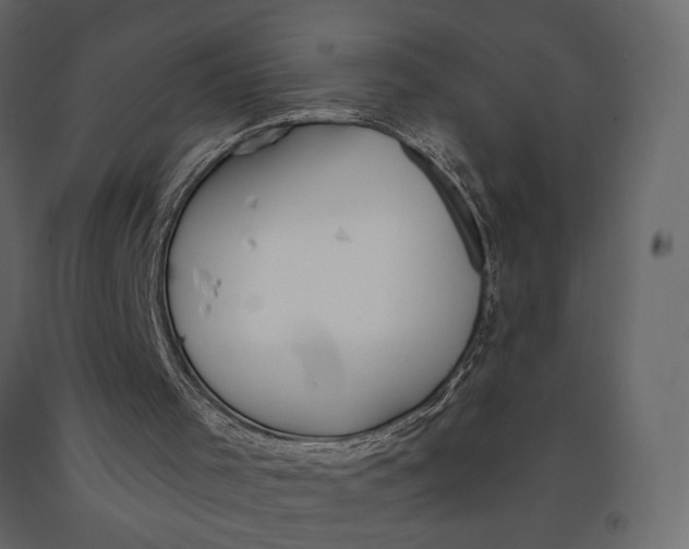 X0000091090001200708271305