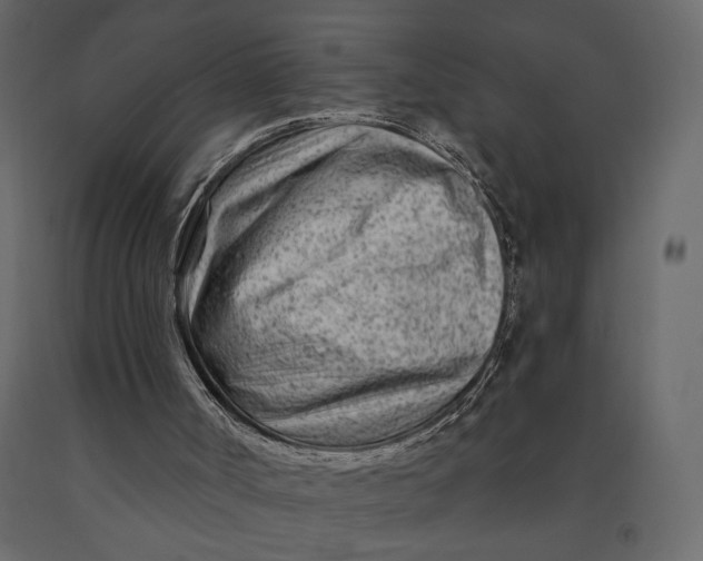 X0000091090002200708271305