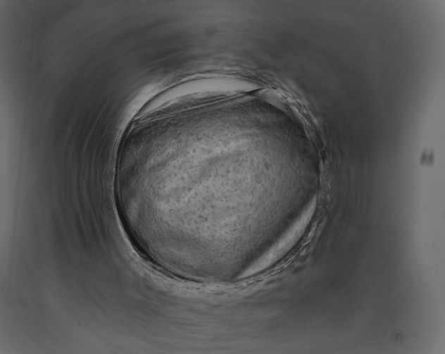 X0000091090003200708271305