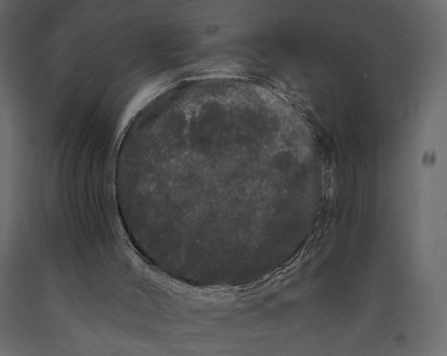 X0000091090004200708271305