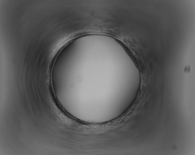 X0000091090005200708271305