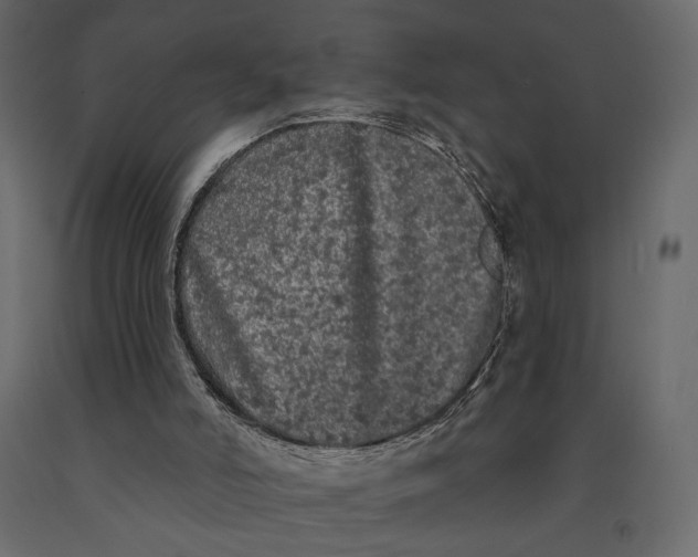 X0000091090006200708271305