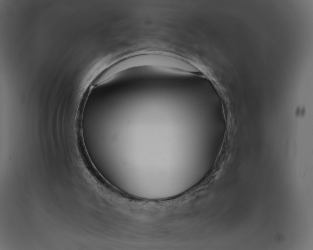 X0000091090007200708271305