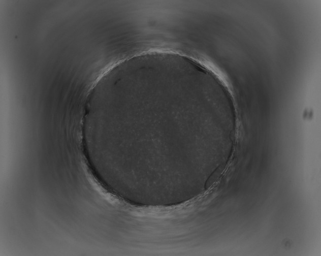 X0000091090009200708271305