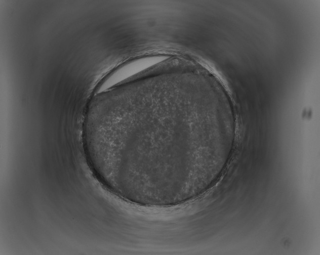 X0000091090010200708271305