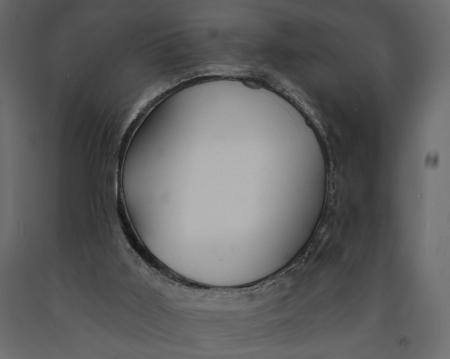 X0000091090011200708271305