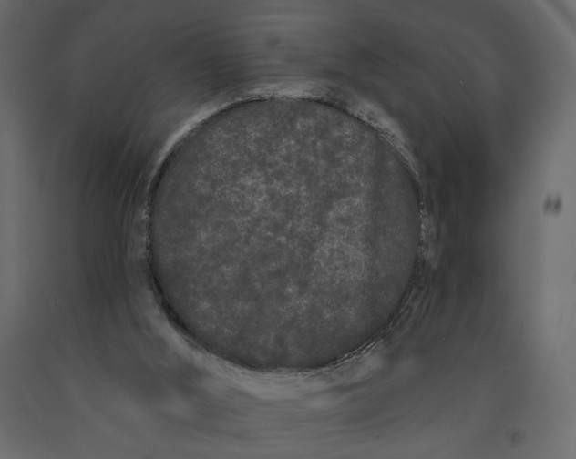 X0000091090012200708271305