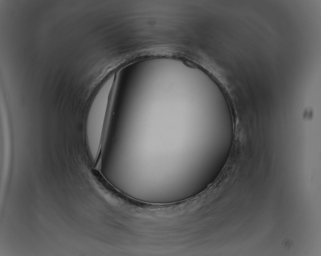 X0000091090013200708271305