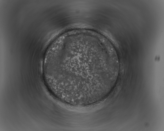 X0000091090014200708271305