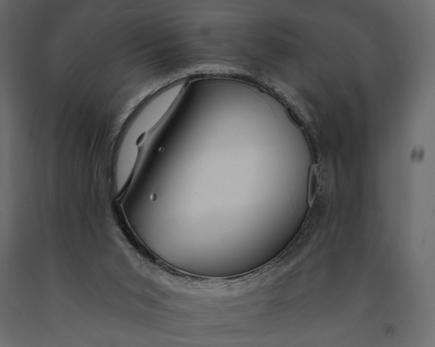 X0000091090015200708271305