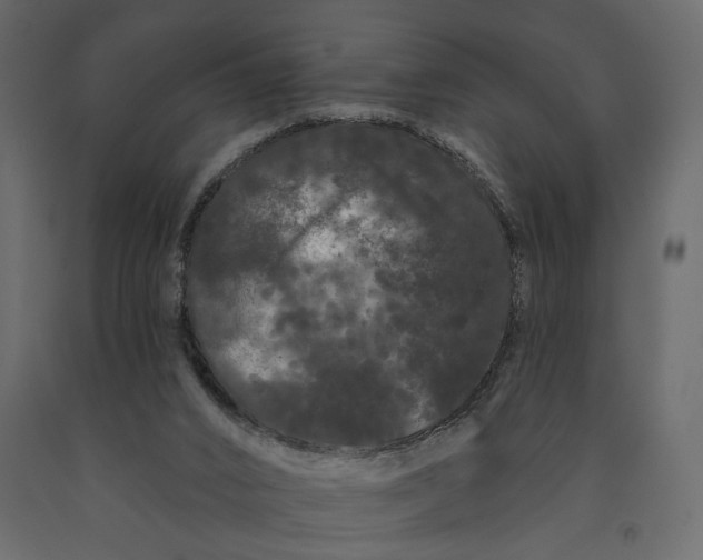 X0000091090016200708271305