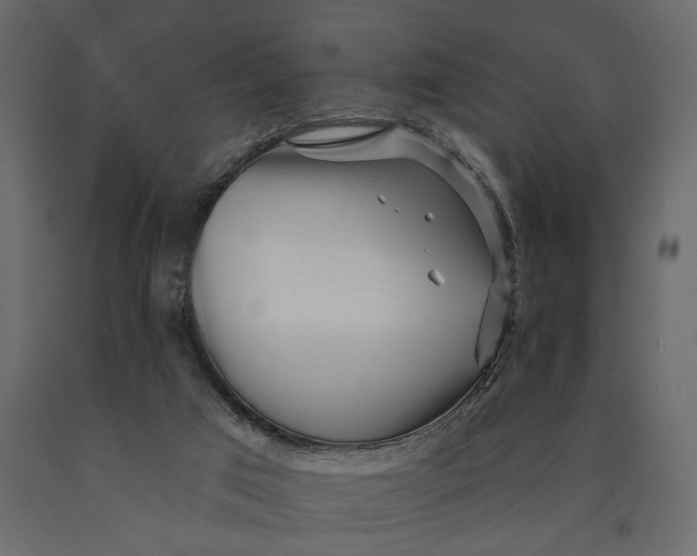 X0000091090017200708271305