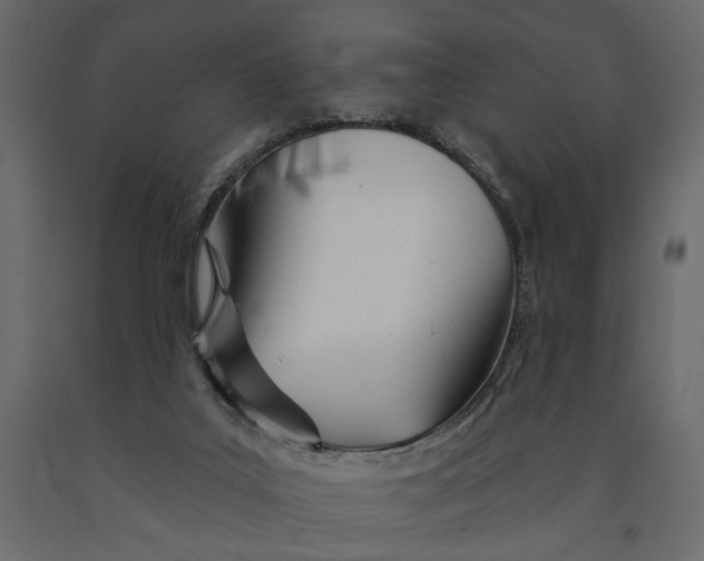 X0000091090019200708271305