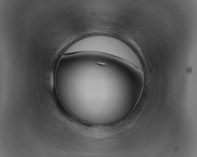 X0000091090020200708271305