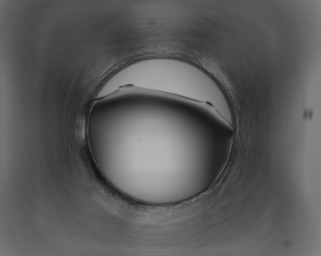 X0000091090021200708271305