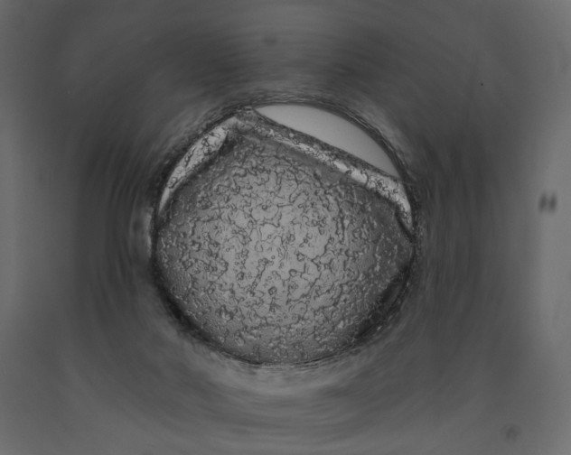 X0000091090022200708271305