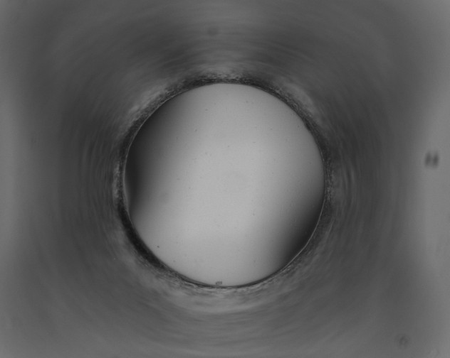 X0000091090023200708271305