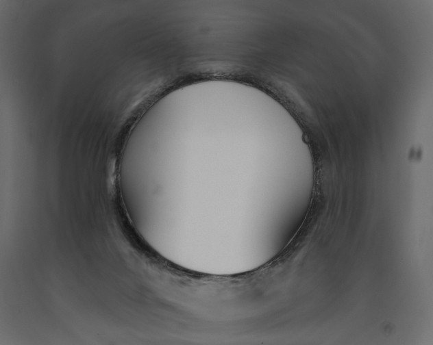 X0000091090024200708271305