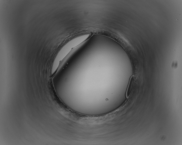 X0000091090025200708271305