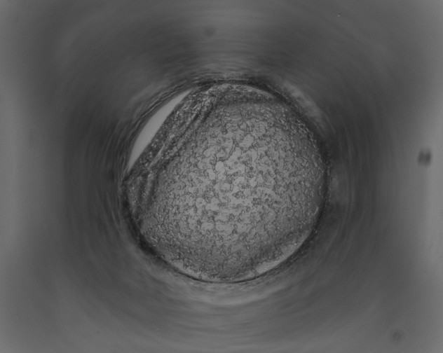 X0000091090026200708271305