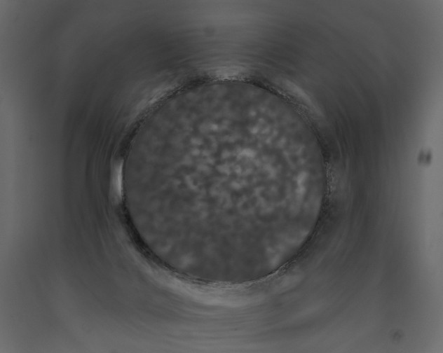 X0000091090028200708271305