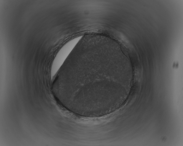 X0000091090029200708271305