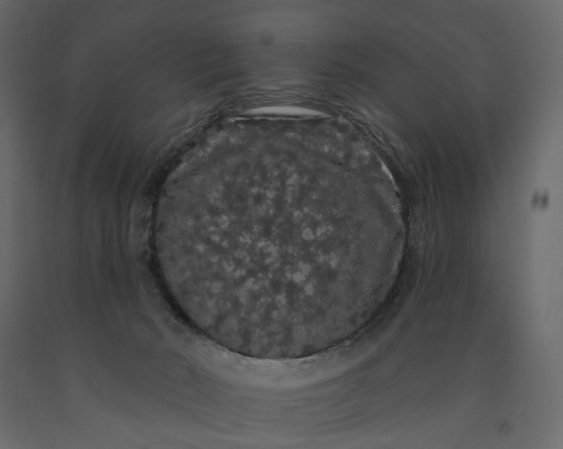 X0000091090030200708271305