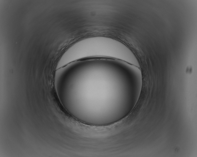 X0000091090031200708271305