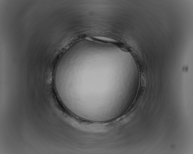 X0000091090032200708271305