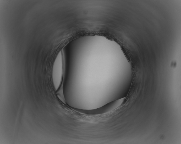 X0000091090033200708271305