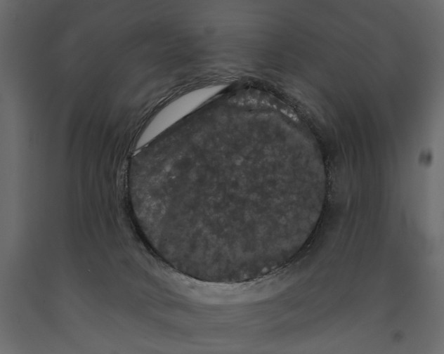 X0000091090034200708271305