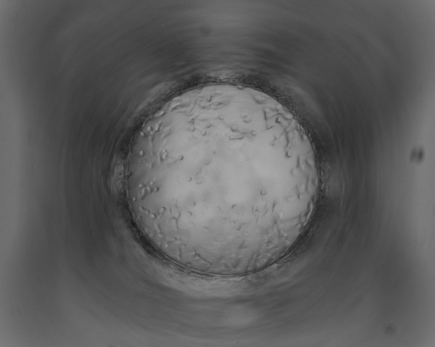 X0000091090036200708271305